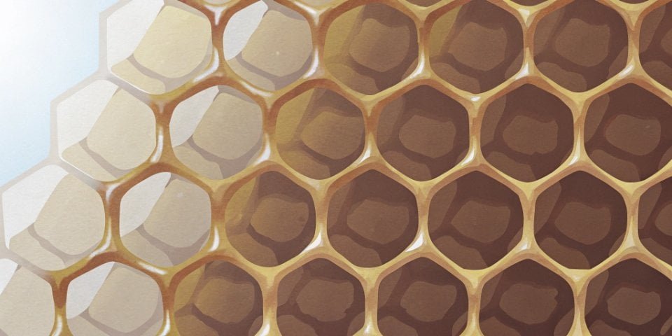 Uniform PU Foam Cell Structure a microscopic view of uniform foam cell structure